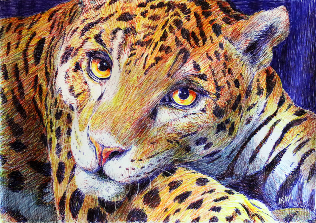 Portrait of a leopard by Dane Ikin