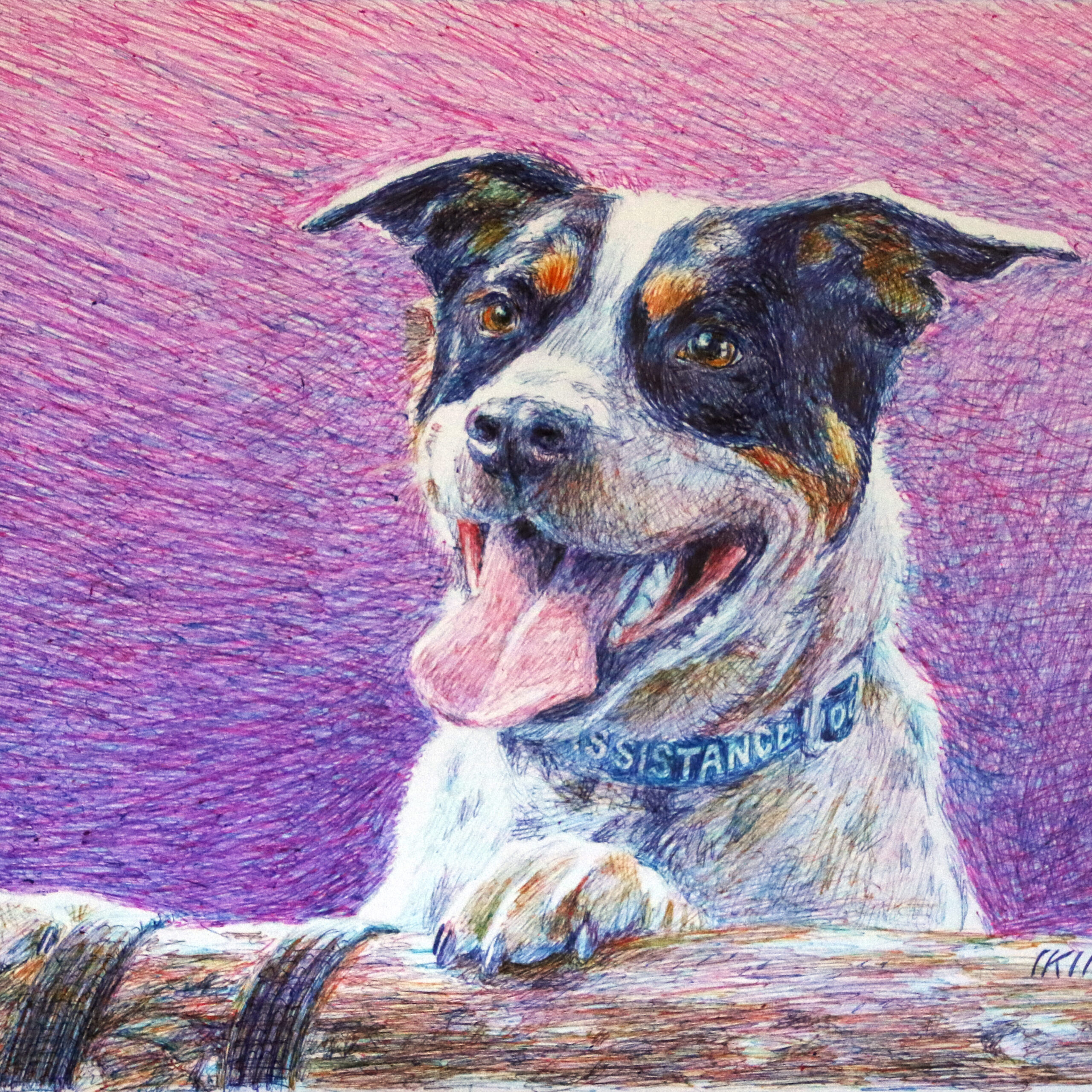 Commissioned portrait of a dog by Dane Ikin