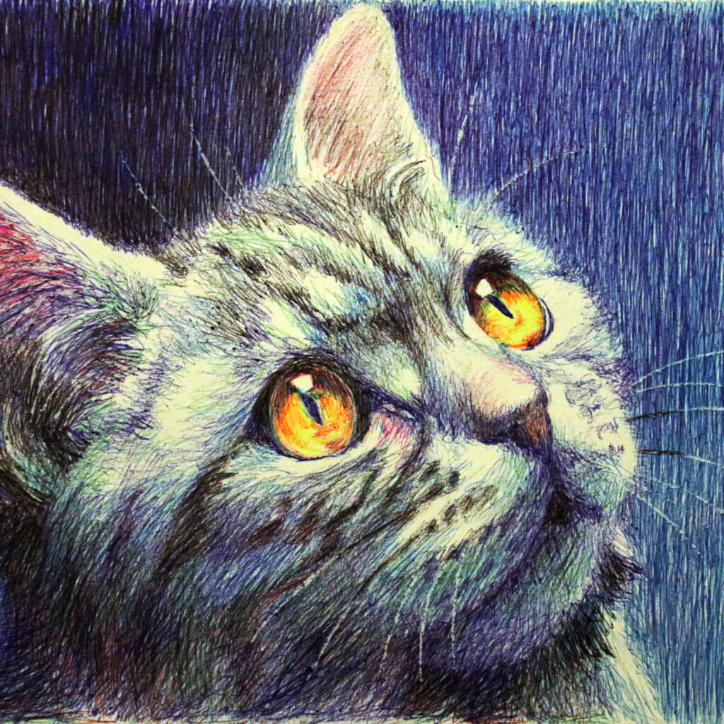 Portrait of a cat by Dane Ikin