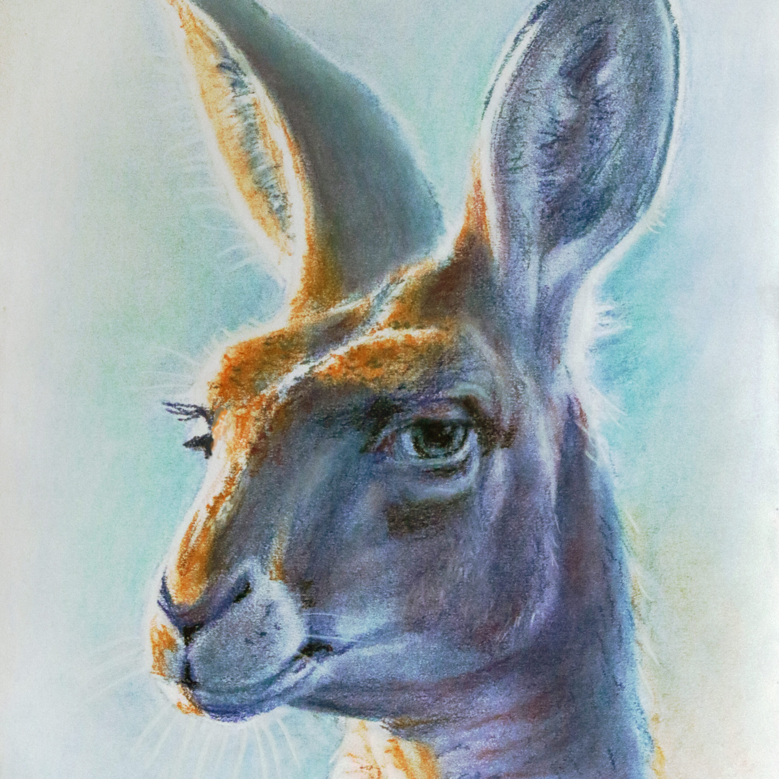 Portrait of a kangaroo by Dane Ikin