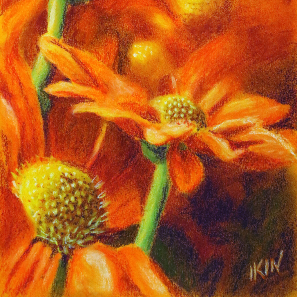 Picture of orange flowers by Dane Ikin