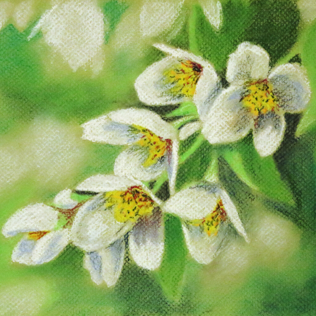 Picture of white flowers with a green background by Dane Ikin