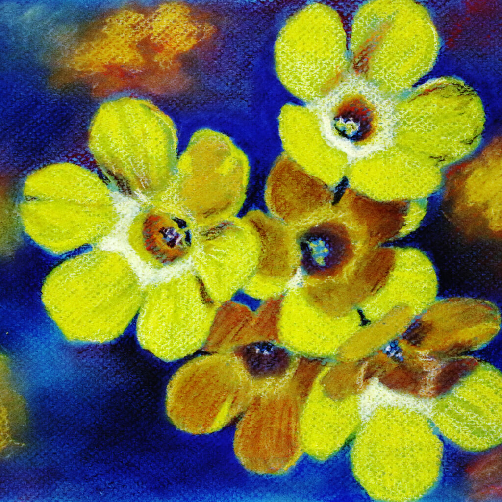 Picture of tiny yellow flowers by Dane Ikin